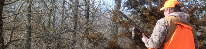 Dale's Fish 'n Fun image banner